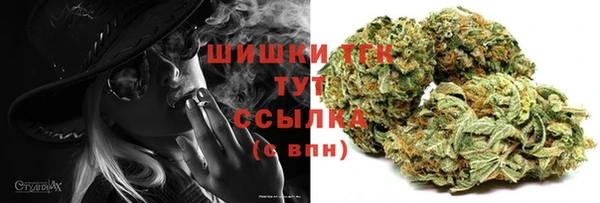прущие крисы Армянск