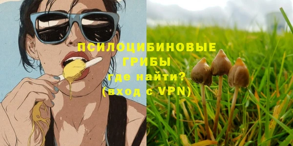 прущие крисы Армянск