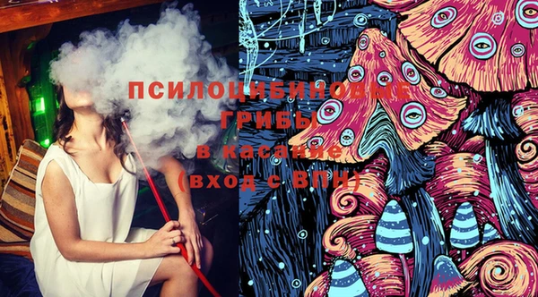твердый Аркадак