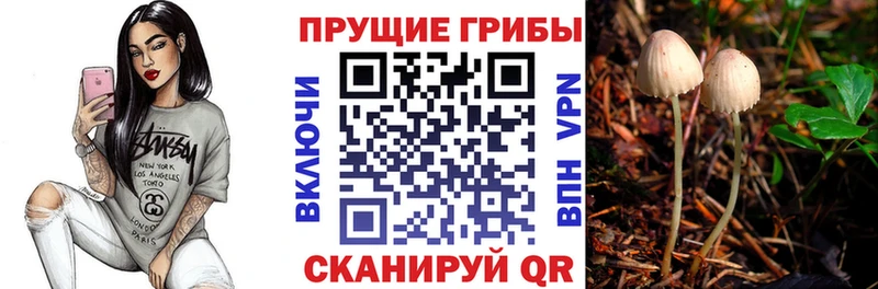 кракен ONION  наркотики  Полярные Зори  Псилоцибиновые грибы ЛСД 